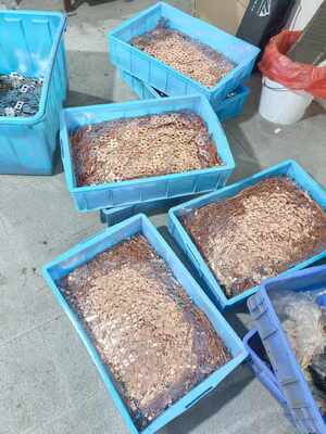 Bom preço Tira de Liga de Cobre-Níquel CuNi10/CuNi30 Alta Condutividade Resistente à Corrosão para Uso Marinho e Industrial on-line